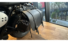 TRIUMPH SCRAMBLER 2022 DAD78G