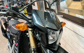 HONDA CRF250L MD44