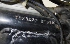 SUZUKI TS250