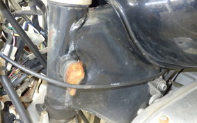 YAMAHA VIRAGO 250 2024 3DM