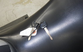 HONDA HORNET 250 MC31