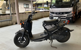 HONDA ZUMAR AF58