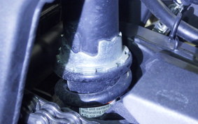 KAWASAKI NINJA 250 ABS 2020 EX250L