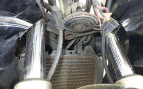 KAWASAKI ZZ-R250 EX250H