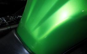 KAWASAKI VERSYS 250 A LE250D