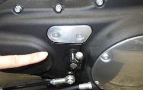 HARLEY XL1200X 2020