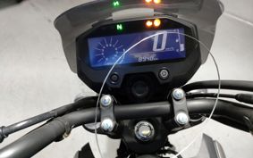 YAMAHA FZ-X150 RG73