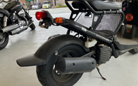 HONDA ZUMAR AF58