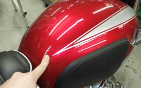 KAWASAKI W800 2022 EJ800E