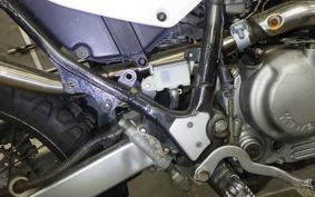 KAWASAKI SUPER SHERPA 2020 KL250G