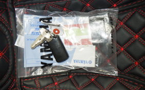 YAMAHA AERO X155