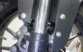 BENELLI レオンチーノ250