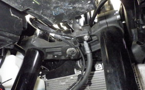 KAWASAKI NINJA 250 ZX250E
