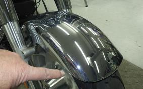 HARLEY FLSTFI1920 2025