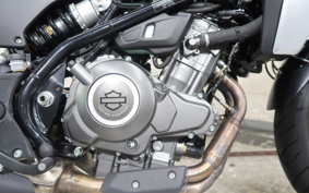 HARLEY X350 2024 W3C