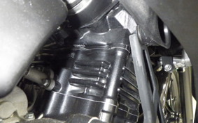 SUZUKI GSX250R 2021