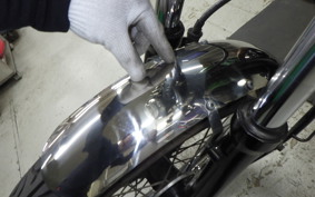 KAWASAKI 250TR 2007 BJ250F