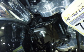 HARLEY FLSB 1750 2018