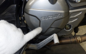 SUZUKI DL650 ( V-Strom 650 ) A 2024 C733M