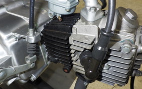 HONDA MONKEY 2018 Z50J