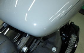 HARLEY FXBBS1870 2025