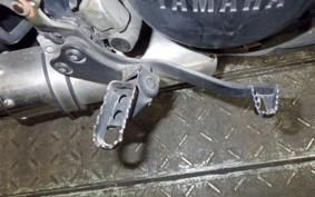 YAMAHA TW225 2017 DG09J