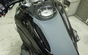 BMW R1300GS 2024