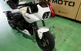 OTHER CFMOTO XO-1 PAPIO