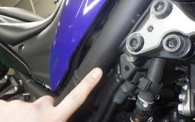 YAMAHA MT-25 A 2010 RG74J