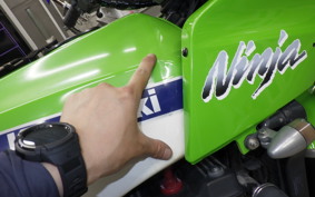 KAWASAKI GPZ900R NINJA 1991 ZX900A
