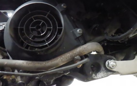 HONDA BENLY 50 AA03