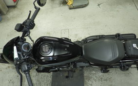 HARLEY RH975 2022