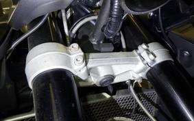 TRIUMPH TIGER 800 XC