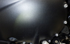 TRIUMPH SPEED TWIN 900 2024