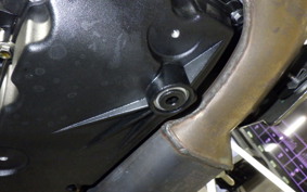 TRIUMPH TIGER 900 GT PRO 2024