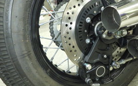 OTHER THUNDER250