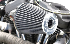 HARLEY XL1200NS 2020 LP3