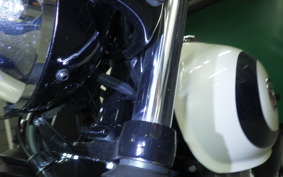 KAWASAKI W230 2022 BJ230A