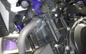 YAMAHA MT-25 2017 RG10J