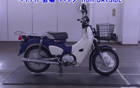 OTHER C110PU LOW 3