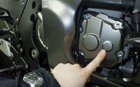 KAWASAKI ZX 10 NINJA ABS 2019