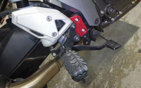 SUZUKI Vｽﾄﾛｰﾑ250SX 2007 EL11L