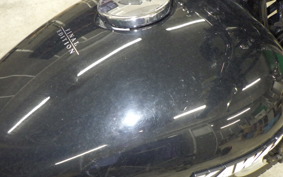 KAWASAKI W800 2016 EJ800A