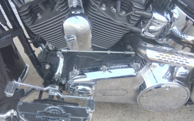 HARLEY FLSTC 2009 BW5