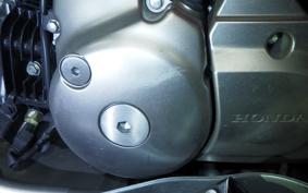 HONDA CT125 HUNTER CUB JA55