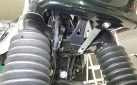 KAWASAKI W800 2020 EJ800B