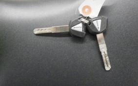 KAWASAKI ZX-25R-2SE 2001 ZX250H