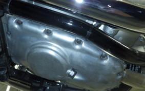 KAWASAKI W800 2023 EJ800E