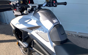 TRIUMPH  TRIUMPH  TIGER 1200GTPRO 2024 TAP22V