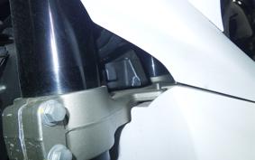 YAMAHA WR250X 2021 DG15J